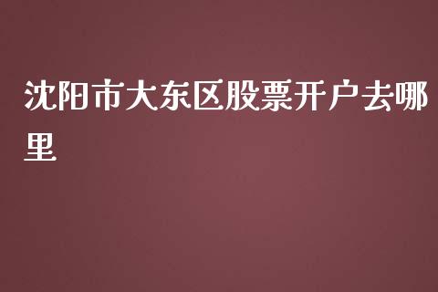 沈阳市大东区股票开户去哪里_https://m.fsyjjx.cn_股指期货保证金_第1张