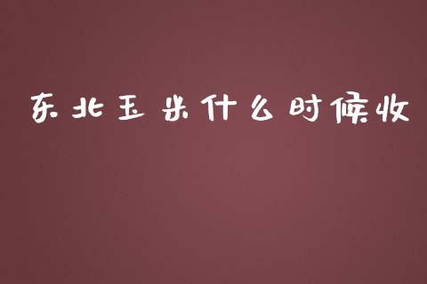 东北玉米什么时候收_https://m.fsyjjx.cn_期货保证金计算_第1张