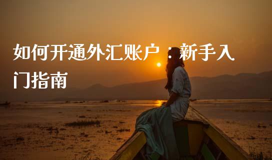 如何开通外汇账户：新手入门指南_https://m.fsyjjx.cn_期货保证金计算_第1张