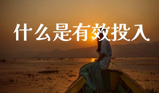 什么是有效投入_https://m.fsyjjx.cn_股指期货保证金_第1张