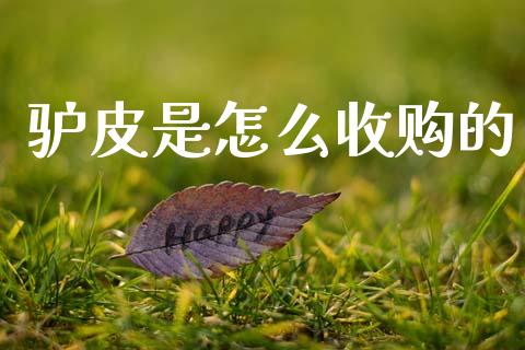 驴皮是怎么收购的_https://m.fsyjjx.cn_期货保证金计算_第1张