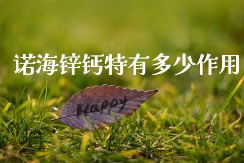 诺海锌钙特有多少作用_https://m.fsyjjx.cn_期货如何开户_第1张