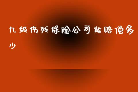 九级伤残保险公司能赔偿多少_https://m.fsyjjx.cn_股指期货保证金_第1张