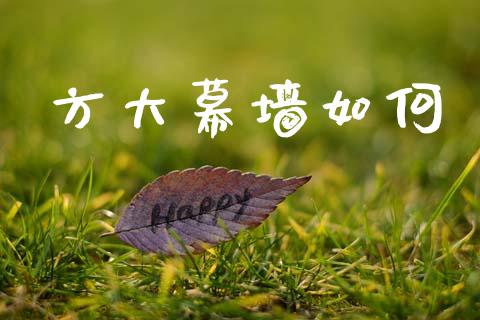 方大幕墙如何_https://m.fsyjjx.cn_期货保证金_第1张