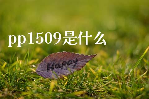 pp1509是什么_https://m.fsyjjx.cn_股指期货保证金_第1张