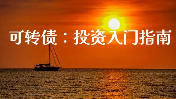 可转债：投资入门指南_https://m.fsyjjx.cn_期货保证金计算_第1张