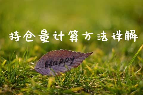 持仓量计算方法详解_https://m.fsyjjx.cn_期货保证金_第1张