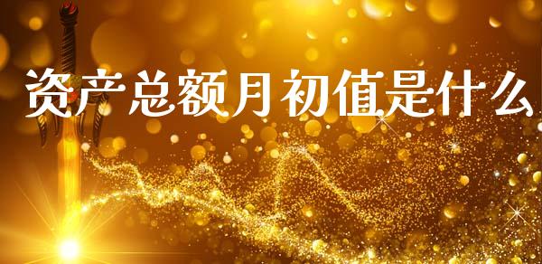 资产总额月初值是什么_https://m.fsyjjx.cn_期货保证金_第1张