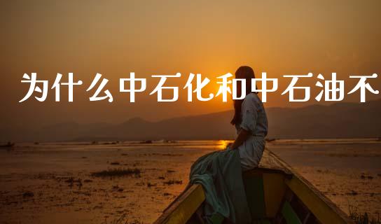 为什么中石化和中石油不_https://m.fsyjjx.cn_期货保证金_第1张