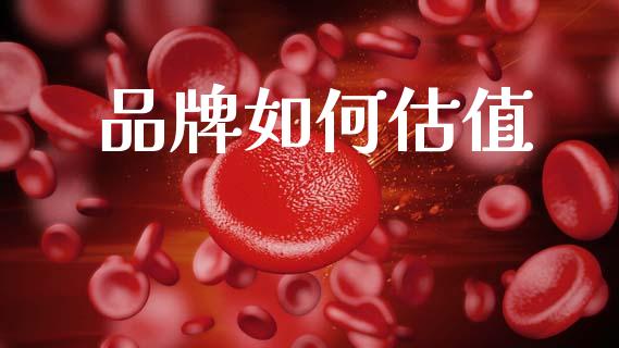 品牌如何估值_https://m.fsyjjx.cn_股指期货保证金_第1张