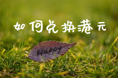 如何兑换港元_https://m.fsyjjx.cn_期货保证金计算_第1张