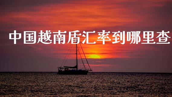 中国越南盾汇率到哪里查_https://m.fsyjjx.cn_期货保证金计算_第1张