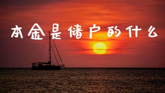 本金是储户的什么_https://m.fsyjjx.cn_股指期货保证金_第1张