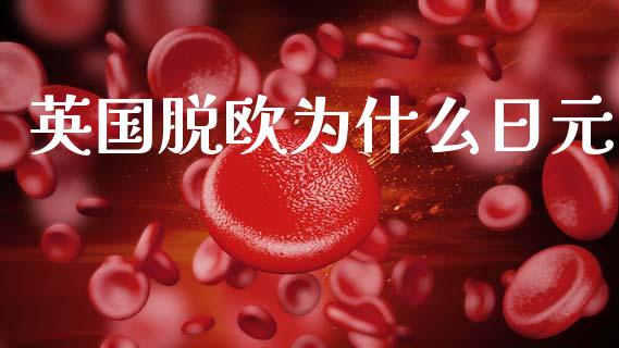 英国脱欧为什么日元_https://m.fsyjjx.cn_股指期货保证金_第1张