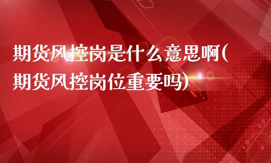 期货风控岗是什么意思啊(期货风控岗位重要吗)_https://m.fsyjjx.cn_股指期货保证金_第1张