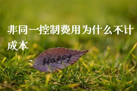 非同一控制费用为什么不计成本_https://m.fsyjjx.cn_期货保证金计算_第1张