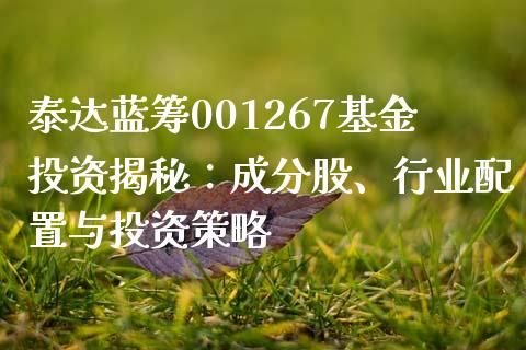 泰达蓝筹001267基金投资揭秘：成分股、行业配置与投资策略_https://m.fsyjjx.cn_期货保证金计算_第1张