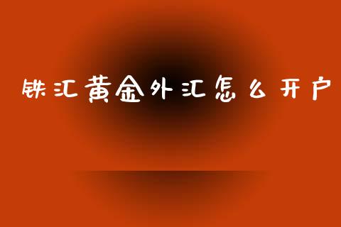 铁汇黄金外汇怎么开户_https://m.fsyjjx.cn_期货如何开户_第1张