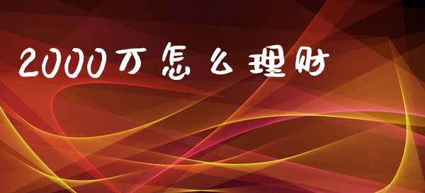 2000万怎么理财_https://m.fsyjjx.cn_期货保证金计算_第1张
