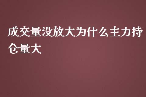 成交量没放大为什么主力持仓量大_https://m.fsyjjx.cn_股指期货保证金_第1张