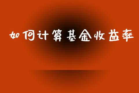 如何计算基金收益率_https://m.fsyjjx.cn_期货保证金计算_第1张