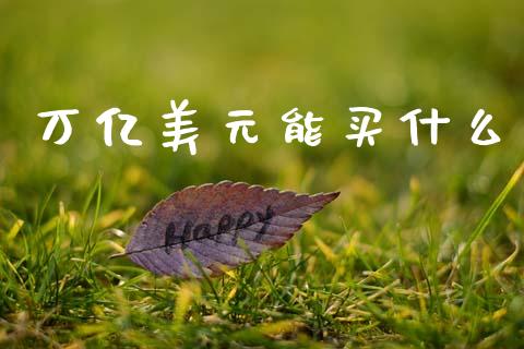 万亿美元能买什么_https://m.fsyjjx.cn_期货保证金_第1张