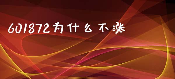 601872为什么不涨_https://m.fsyjjx.cn_股指期货保证金_第1张