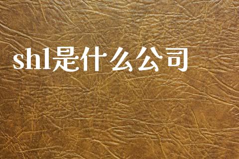 shl是什么公司_https://m.fsyjjx.cn_期货保证金计算_第1张