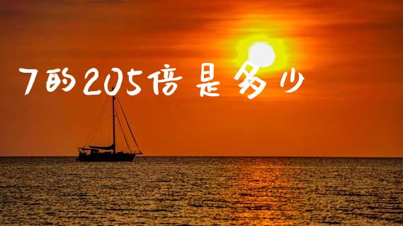 7的205倍是多少_https://m.fsyjjx.cn_股指期货保证金_第1张