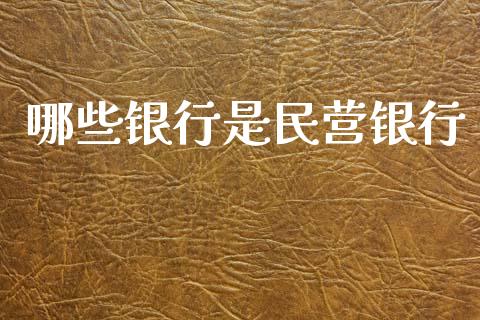 哪些银行是民营银行_https://m.fsyjjx.cn_期货如何开户_第1张