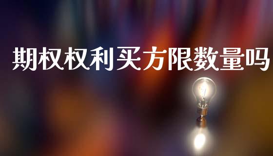 期权权利买方限数量吗_https://m.fsyjjx.cn_期货保证金计算_第1张
