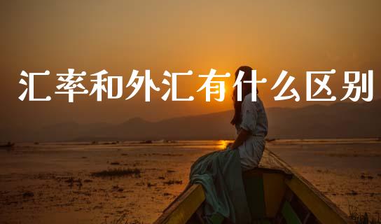 汇率和外汇有什么区别_https://m.fsyjjx.cn_期货如何开户_第1张