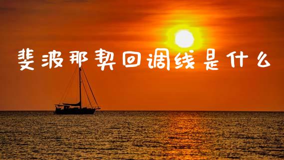 斐波那契回调线是什么_https://m.fsyjjx.cn_期货保证金_第1张