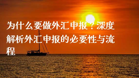为什么要做外汇申报？深度解析外汇申报的必要性与流程_https://m.fsyjjx.cn_股指期货保证金_第1张