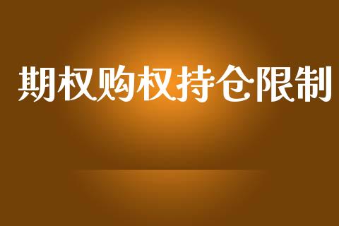 期权购权持仓限制_https://m.fsyjjx.cn_期货如何开户_第1张