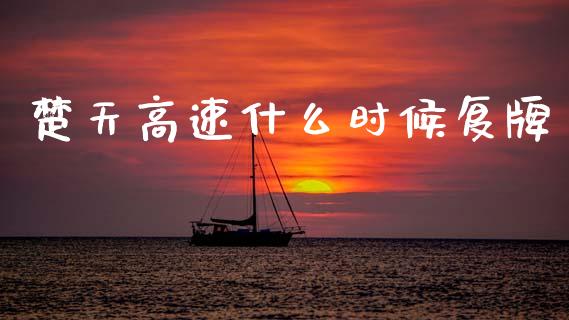 楚天高速什么时候复牌_https://m.fsyjjx.cn_期货保证金计算_第1张