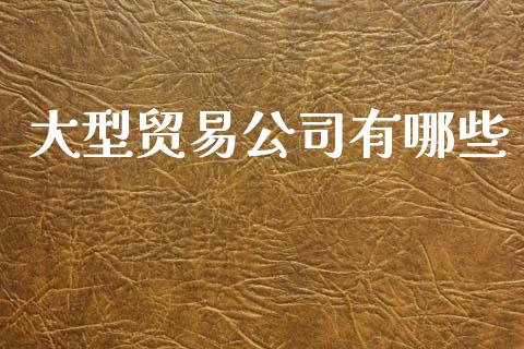 大型贸易公司有哪些_https://m.fsyjjx.cn_股指期货保证金_第1张