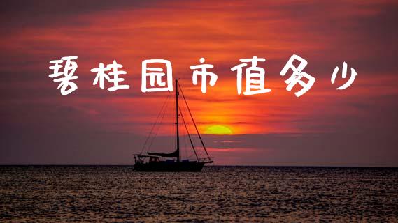碧桂园市值多少_https://m.fsyjjx.cn_股指期货保证金_第1张