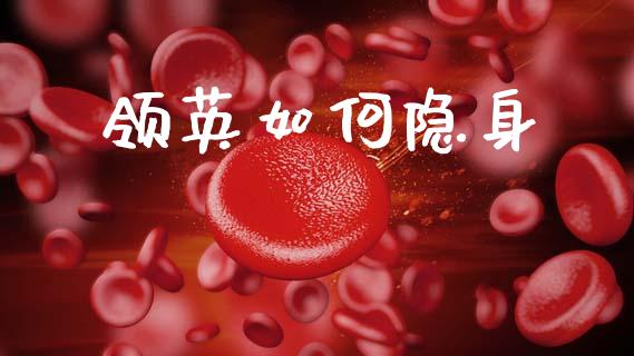 领英如何隐身_https://m.fsyjjx.cn_股指期货保证金_第1张