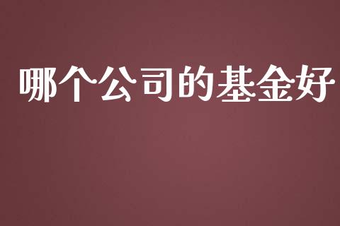 哪个公司的基金好_期货保证金_第1张_期货如何开户_期货保证金_期货保证金计算_股指期货保证金 哪个公司的基金好_https://m.fsyjjx.cn_期货保证金_第1张