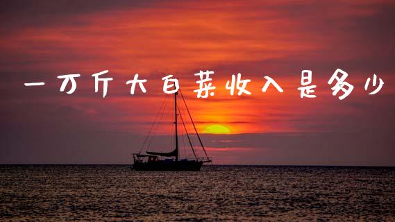 一万斤大白菜收入是多少_https://m.fsyjjx.cn_期货保证金计算_第1张