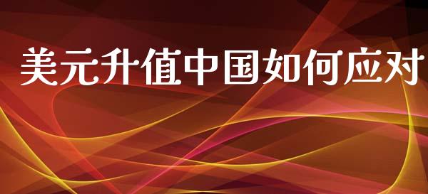 美元升值中国如何应对_https://m.fsyjjx.cn_期货如何开户_第1张