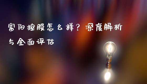 富阳控股怎么样？深度解析与全面评估_https://m.fsyjjx.cn_期货保证金计算_第1张
