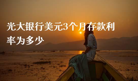 光大银行美元3个月存款利率为多少_https://m.fsyjjx.cn_股指期货保证金_第1张