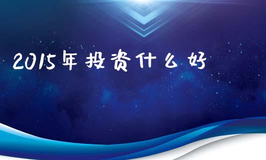 2015年投资什么好_https://m.fsyjjx.cn_期货保证金计算_第1张