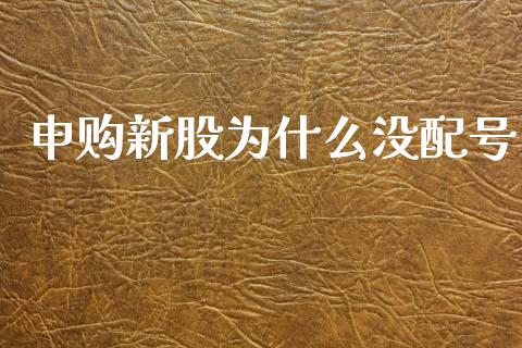 申购新股为什么没配号_https://m.fsyjjx.cn_期货如何开户_第1张