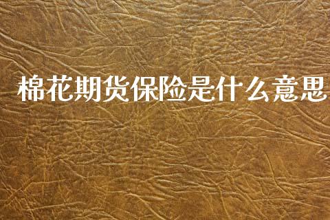 棉花期货保险是什么意思_https://m.fsyjjx.cn_期货保证金_第1张