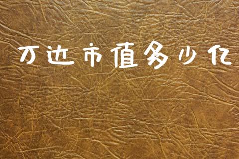 万达市值多少亿_https://m.fsyjjx.cn_期货如何开户_第1张