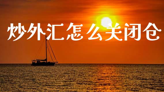 炒外汇怎么关闭仓_https://m.fsyjjx.cn_期货保证金计算_第1张