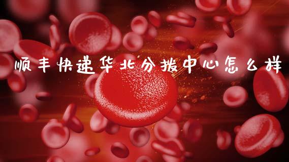 顺丰快递华北分拨中心怎么样_https://m.fsyjjx.cn_期货保证金计算_第1张